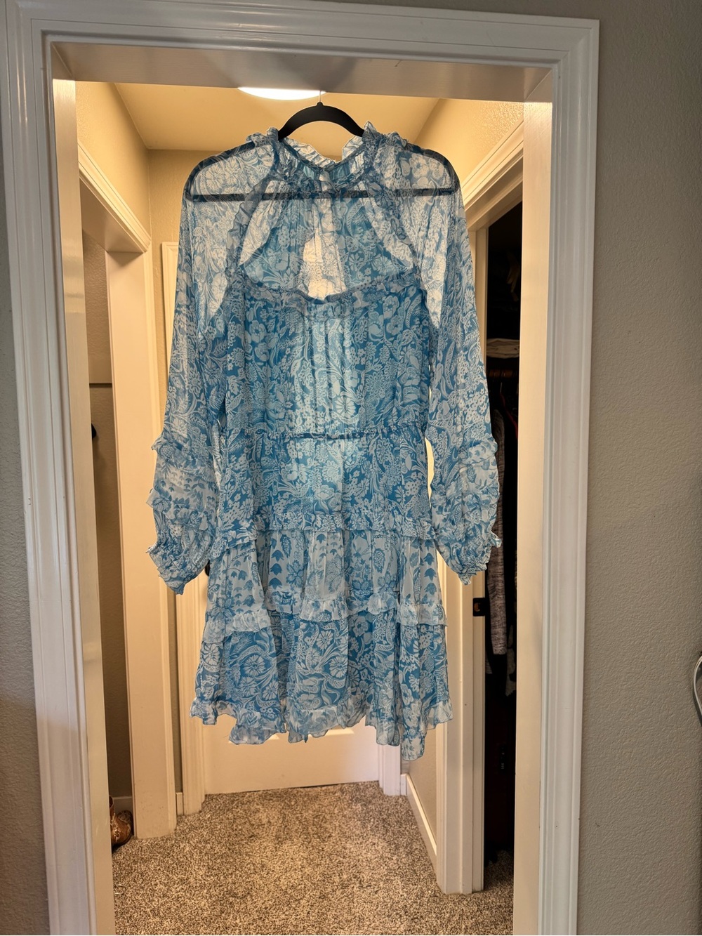 Anthropologie Light Blue Floral Backless Ruffled Dress